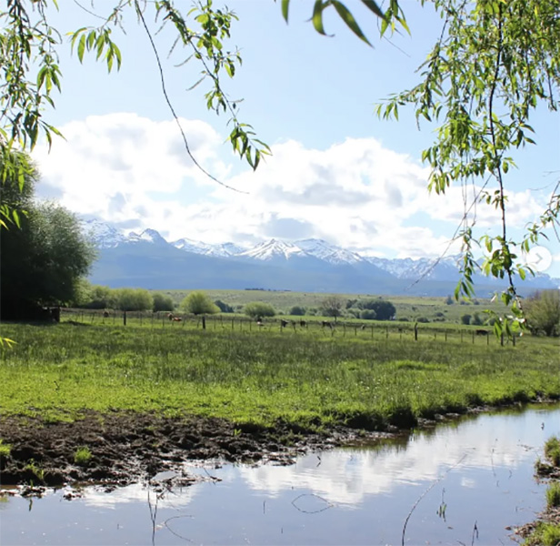 organizacion_cr_inmobiliaria_esquel