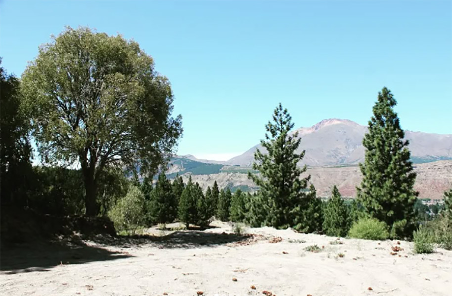 organizacion_cr_inmobiliaria_esquel