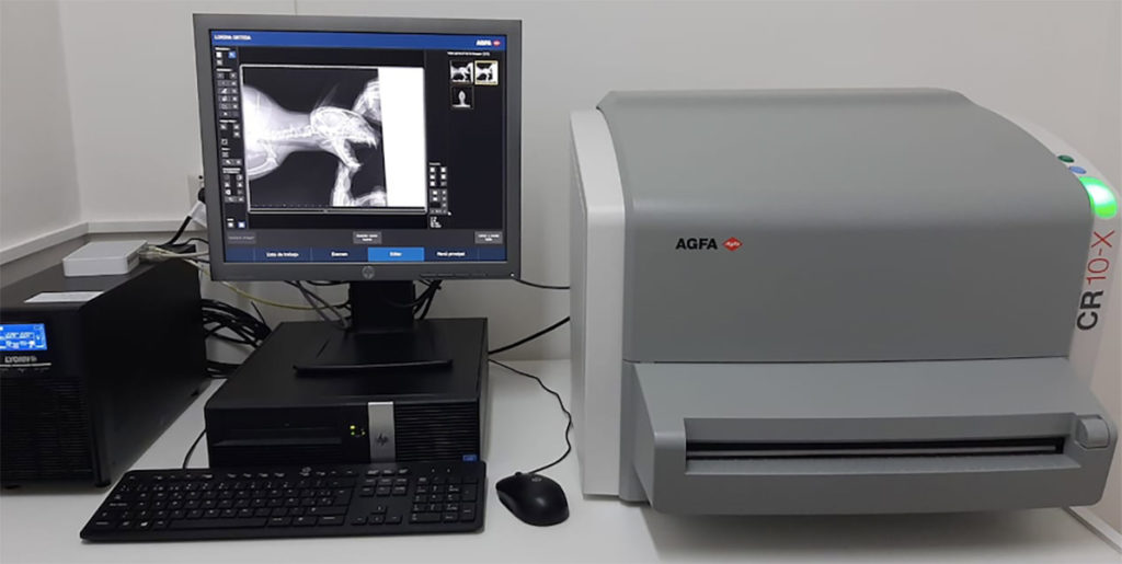 Veterinaria Ameghino en La Guia Esquel