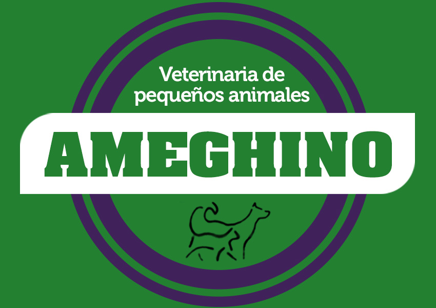 Veterinaria Ameghino