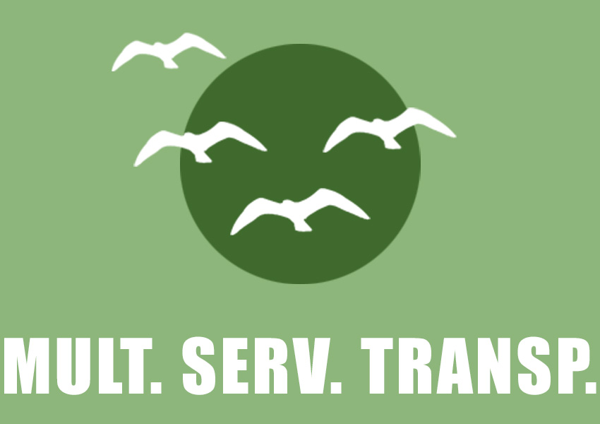 Mult Serv Transp