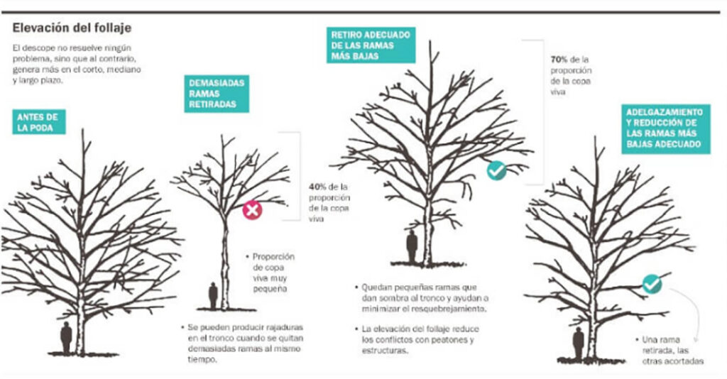 Taller Chavez poda en La Guia Esquel