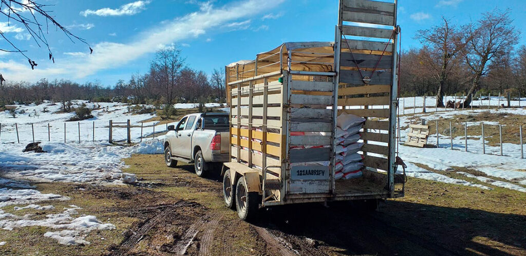 Forrajería Lo del Rengo