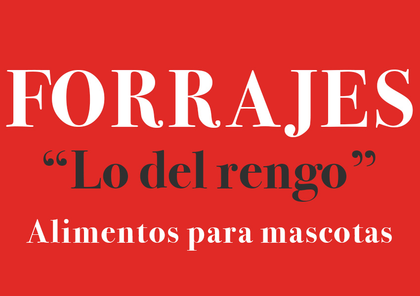 Lo del Rengo Forrajes