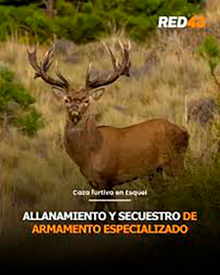 Red_43_en_La_Guia_Esquel_2