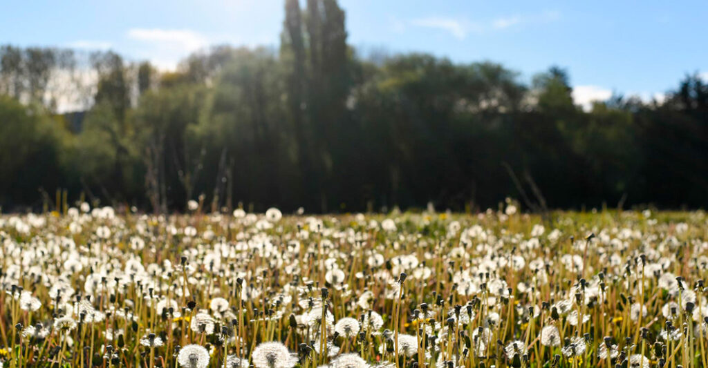 Loteo La Martita en La Guia Esquel