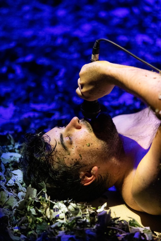 AlimbaAlumbra fotografia en La Guia Esquelra fotografia en La Guia Esquel