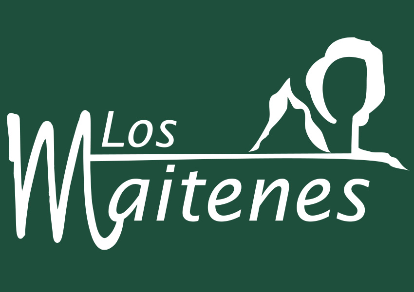 Camping Los Maitenes