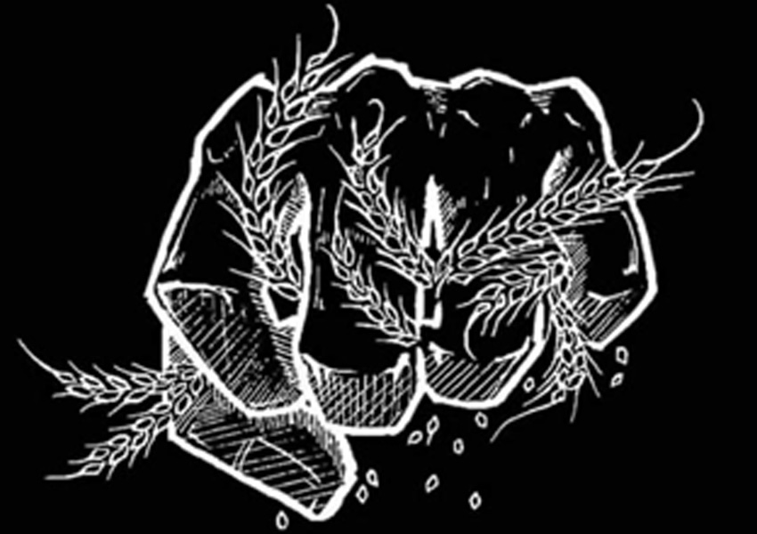 Silvestre Pizza Madre