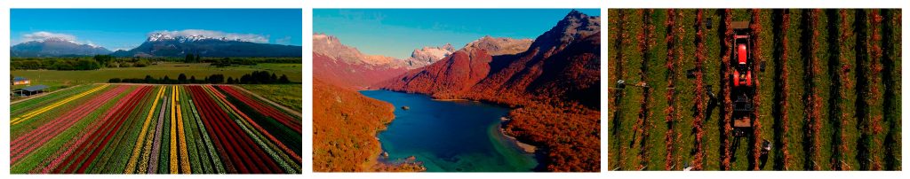 El_Obrador_Realizaciones_Audiovisuales_en_La_Guia_Esquel