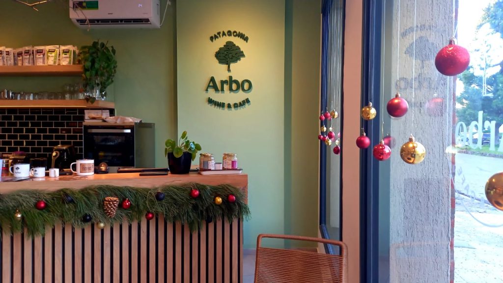 patagonia_santa_en_la_guia_esquel