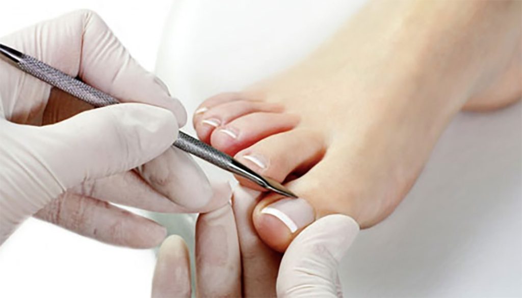 Beauty_Pies_en_La_Guia_Esquel