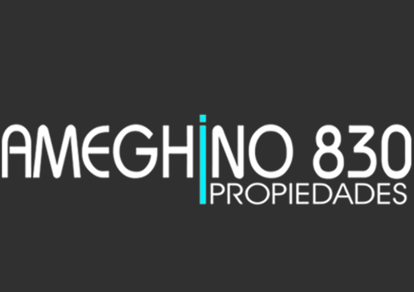 Ameghino 830 Propiedades