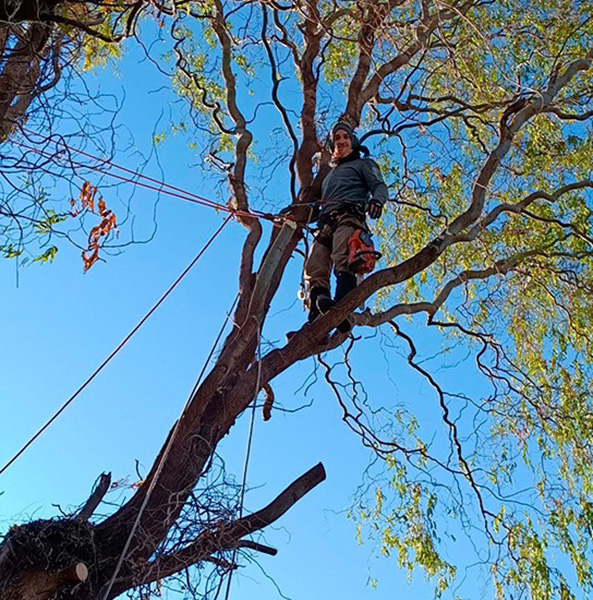 Forestal_Patagonia_poda_en_La_Guia_Esquel