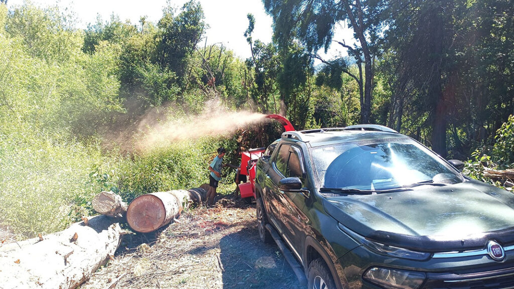 Forestal_Patagonia_poda_en_La_Guia_Esquel