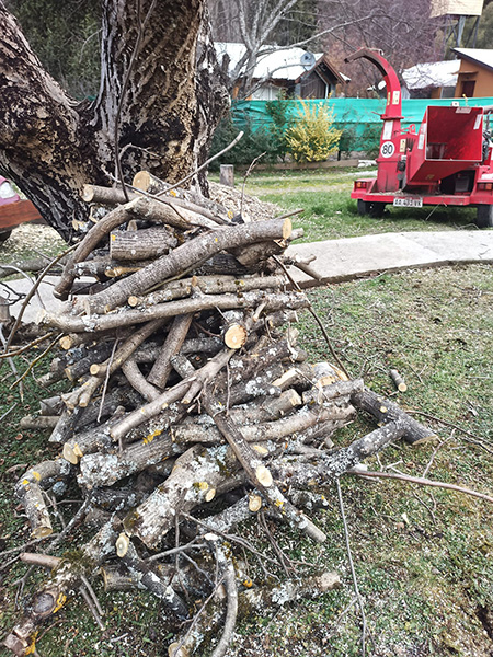 Forestal_Patagonia_poda_en_La_Guia_Esquel