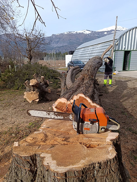 Forestal_Patagonia_poda_en_La_Guia_Esquel