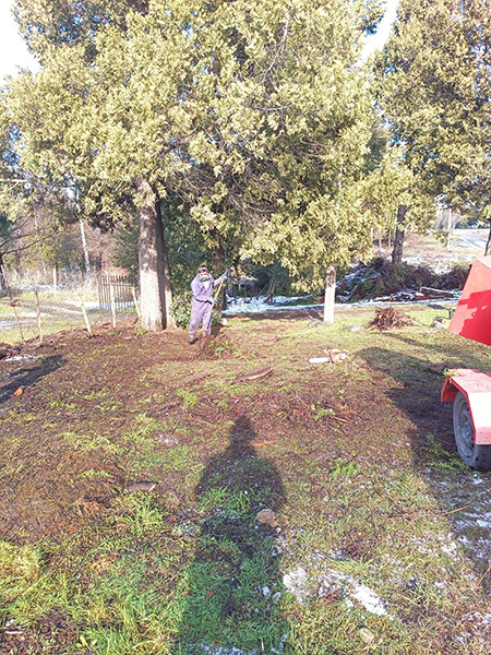 Forestal_Patagonia_poda_en_La_Guia_Esquel