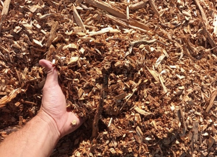 Forestal_Patagonia_poda_en_La_Guia_Esquel