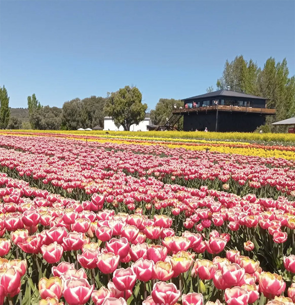 Taxi_Andre_Esquel_en_La_Guia_Esquel