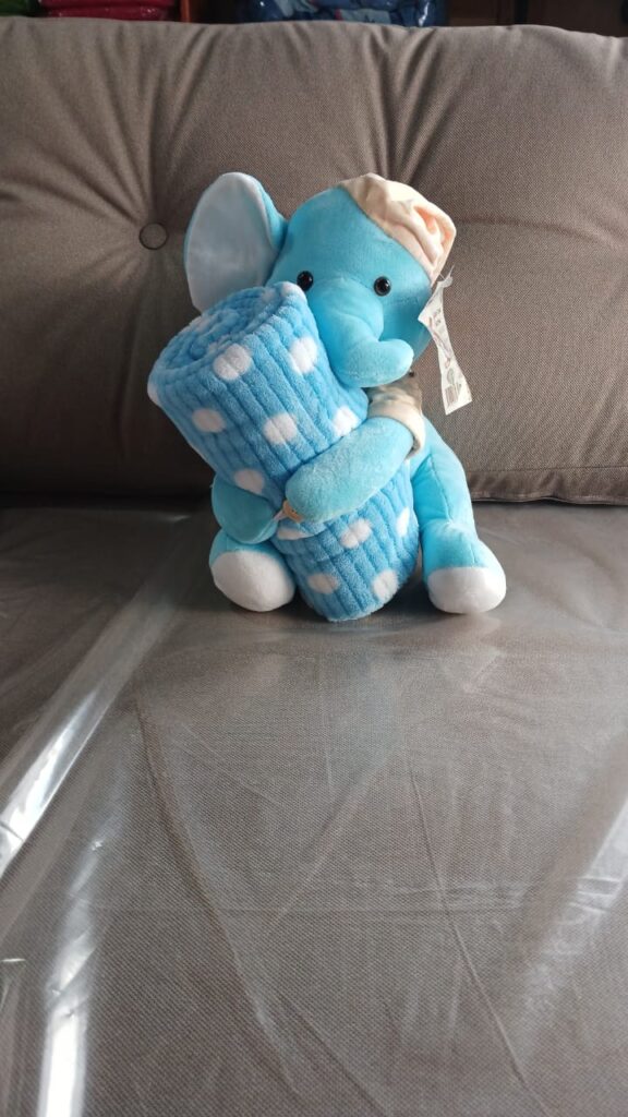 juliar_electrodomesticos_en_La_Guia_esquel