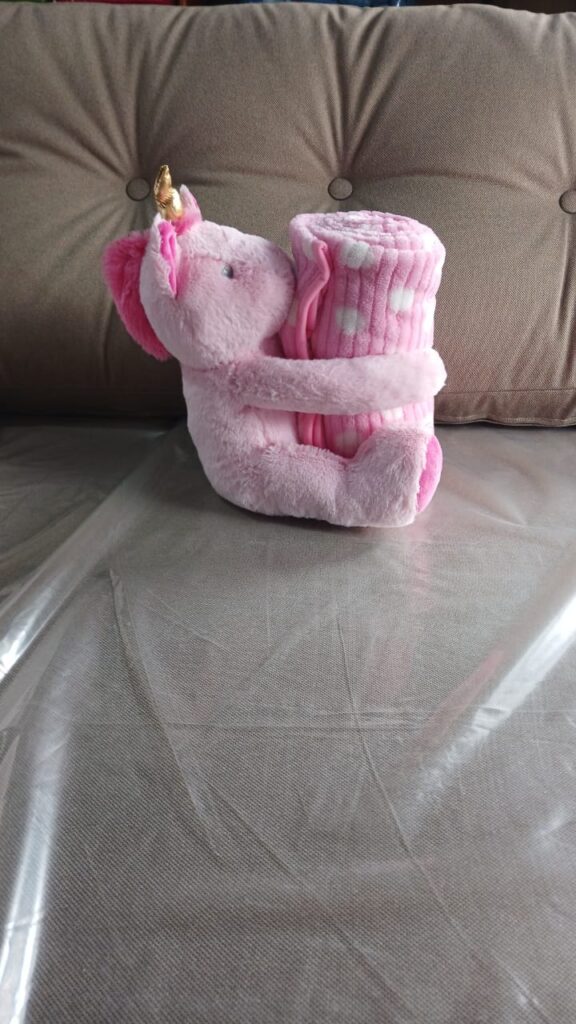 juliar_electrodomesticos_en_La_Guia_esquel