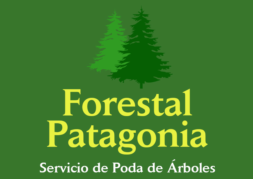 Forestal Patagonia