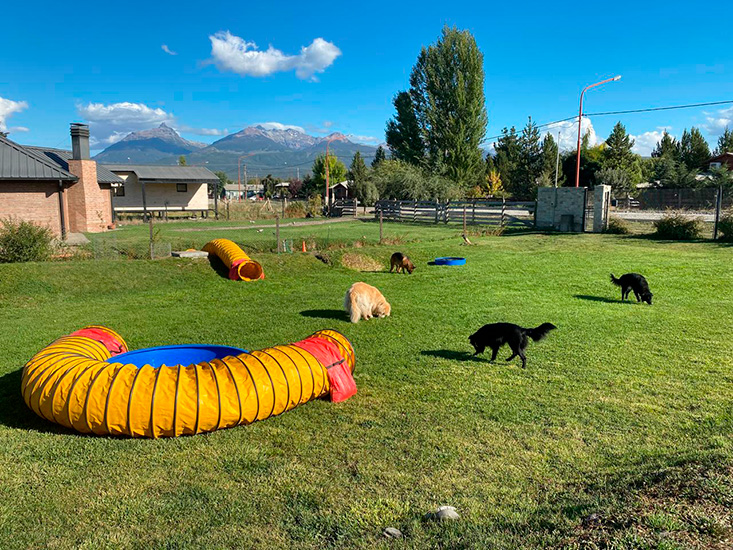 akela_hotel_canino_en_la_guia_esquel_